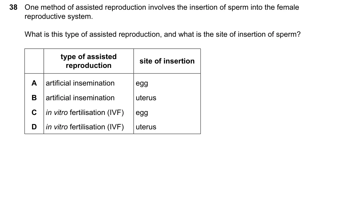 Question 38, June 2026, 0610 Paper 22