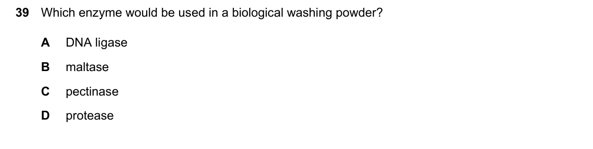 Question 39, June 2026, 0610 Paper 22