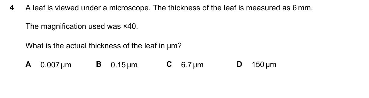Question 4, June 2026, 0610 Paper 22