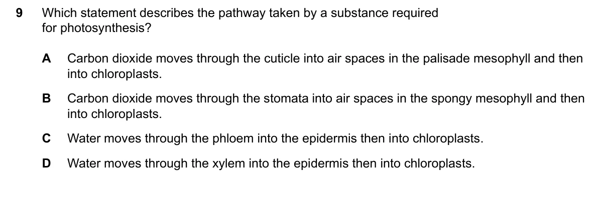 Question 9, June 2026, 0610 Paper 22