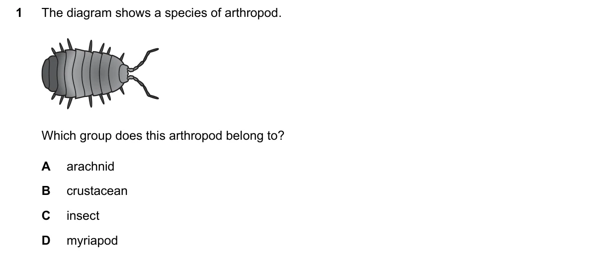Question 1, June 2026, 0610 Paper 13