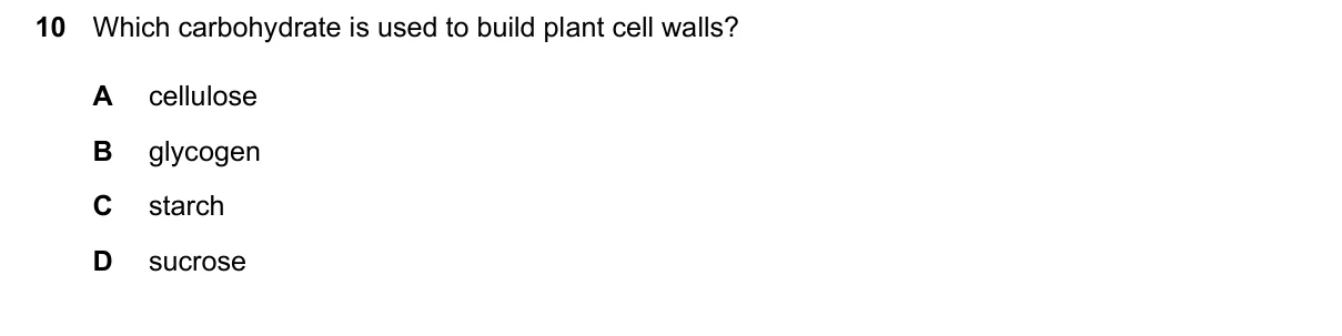 Question 10, June 2026, 0610 Paper 13