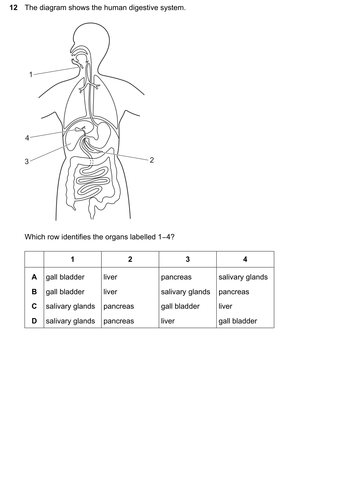 Question 12, June 2026, 0610 Paper 13