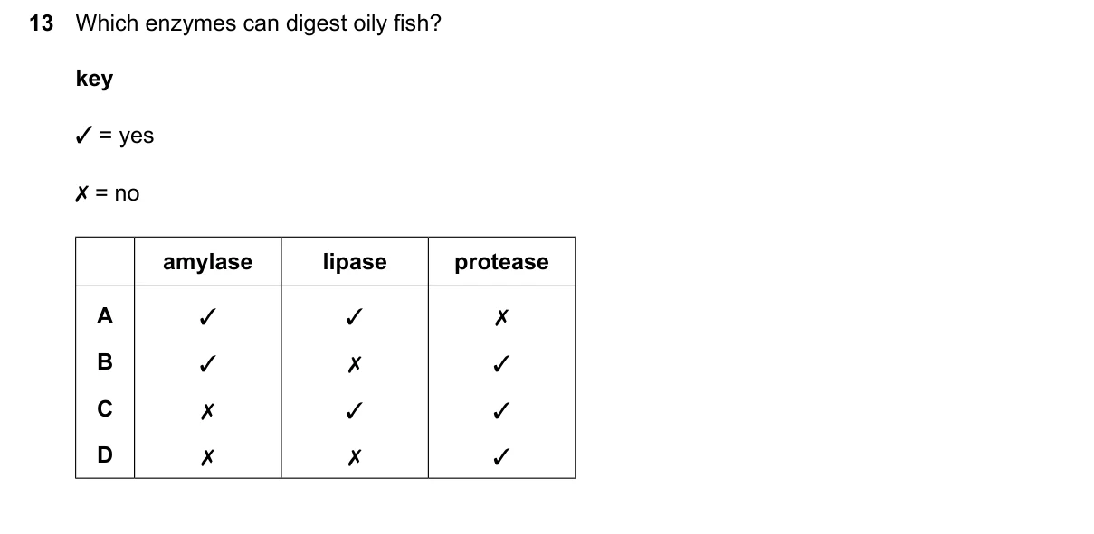 Question 13, June 2026, 0610 Paper 13