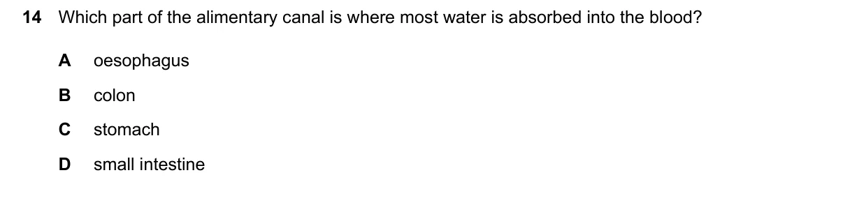Question 14, June 2026, 0610 Paper 13