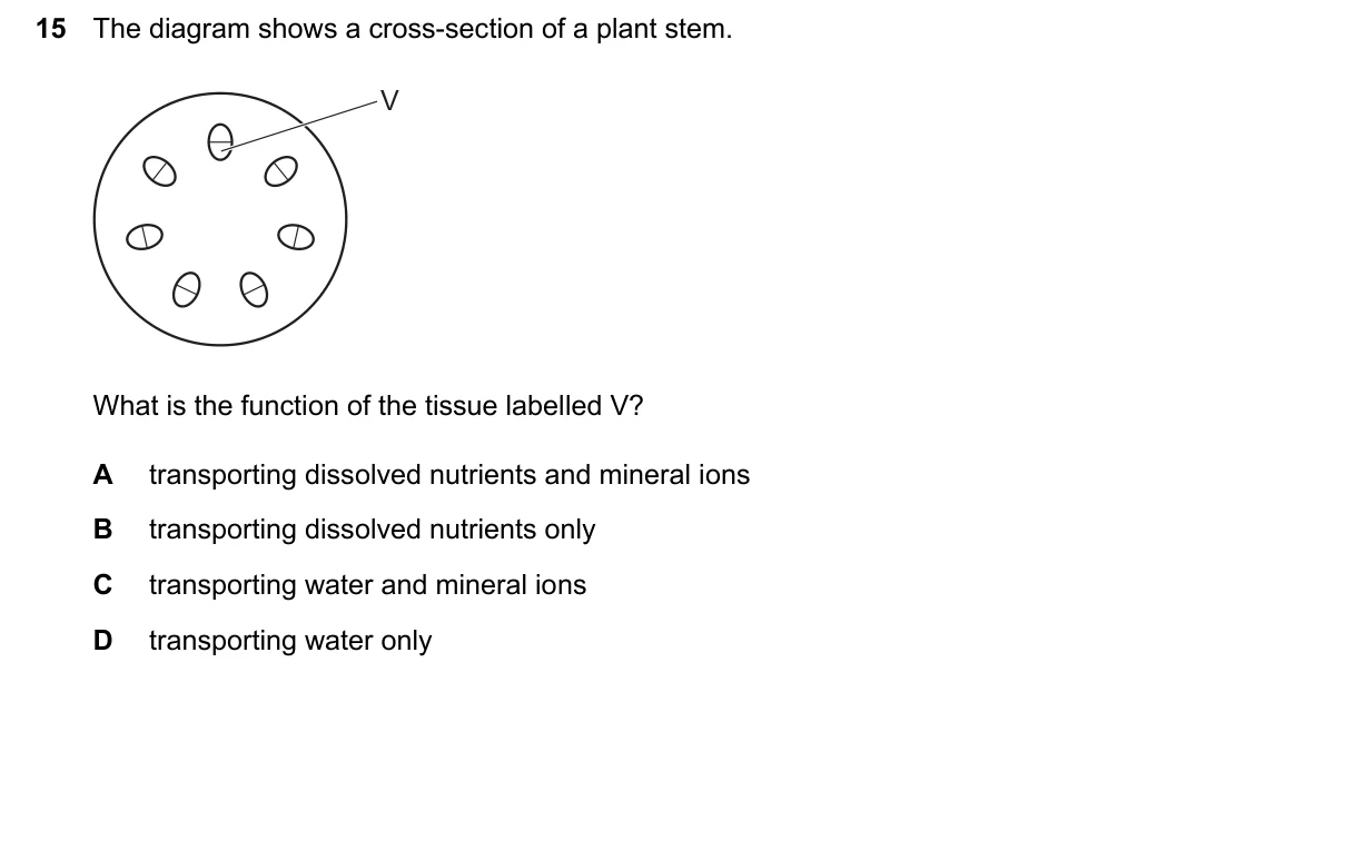 Question 15, June 2026, 0610 Paper 13