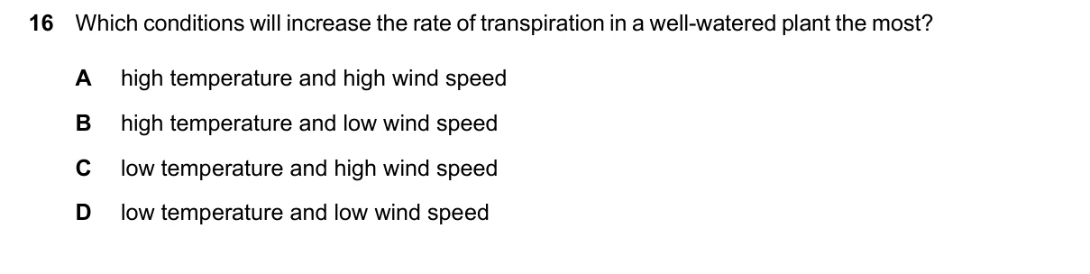 Question 16, June 2026, 0610 Paper 13