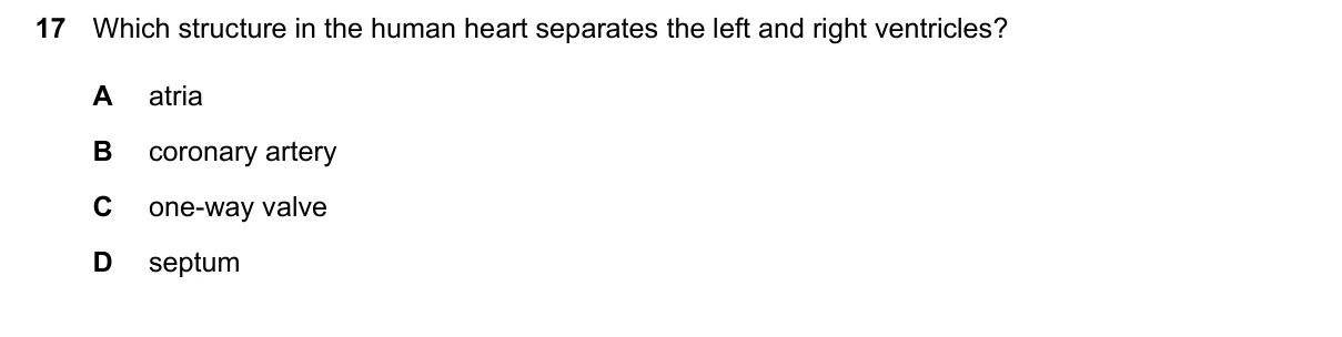 Question 17, June 2026, 0610 Paper 13
