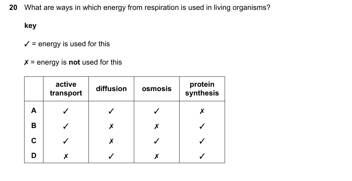 Question 20, June 2026, 0610 Paper 13
