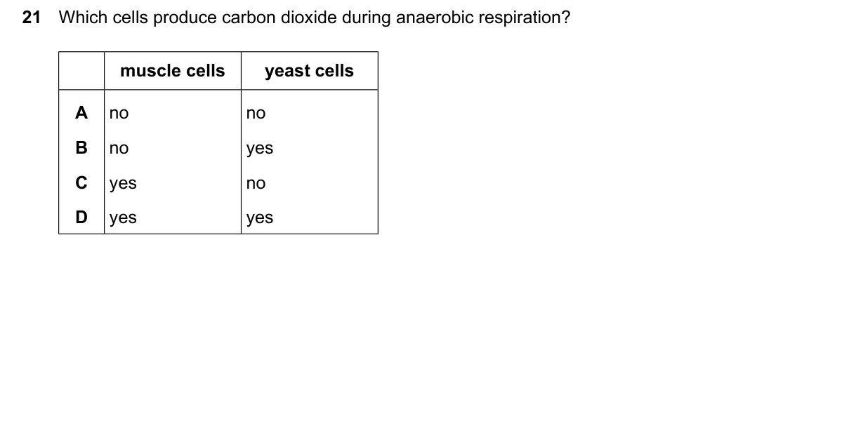 Question 21, June 2026, 0610 Paper 13