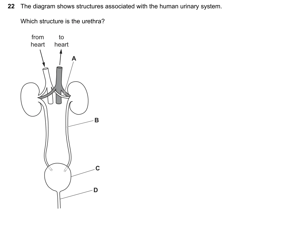 Question 22, June 2026, 0610 Paper 13
