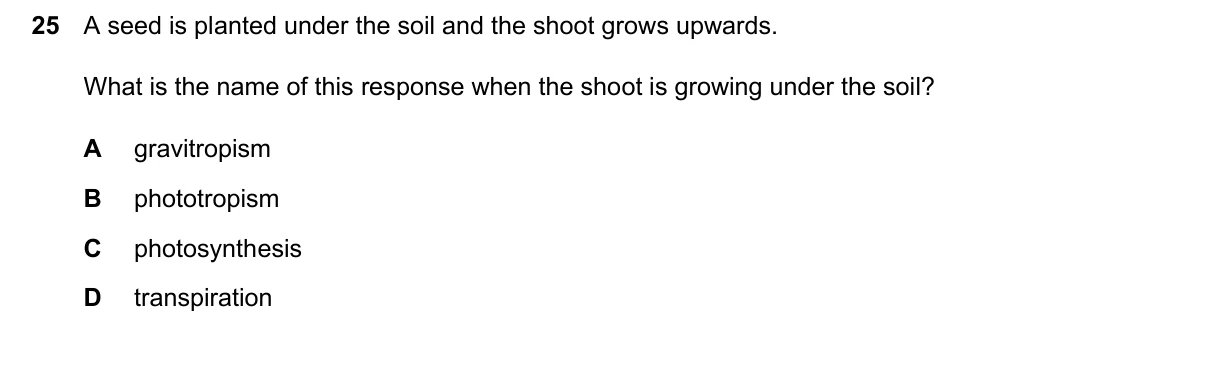 Question 25, June 2026, 0610 Paper 13
