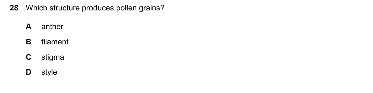 Question 28, June 2026, 0610 Paper 13