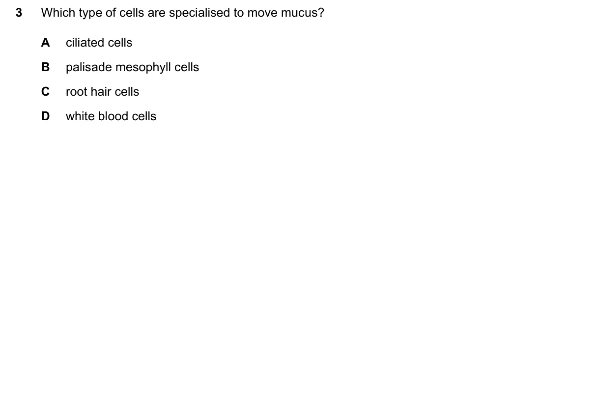 Question 3, June 2026, 0610 Paper 13