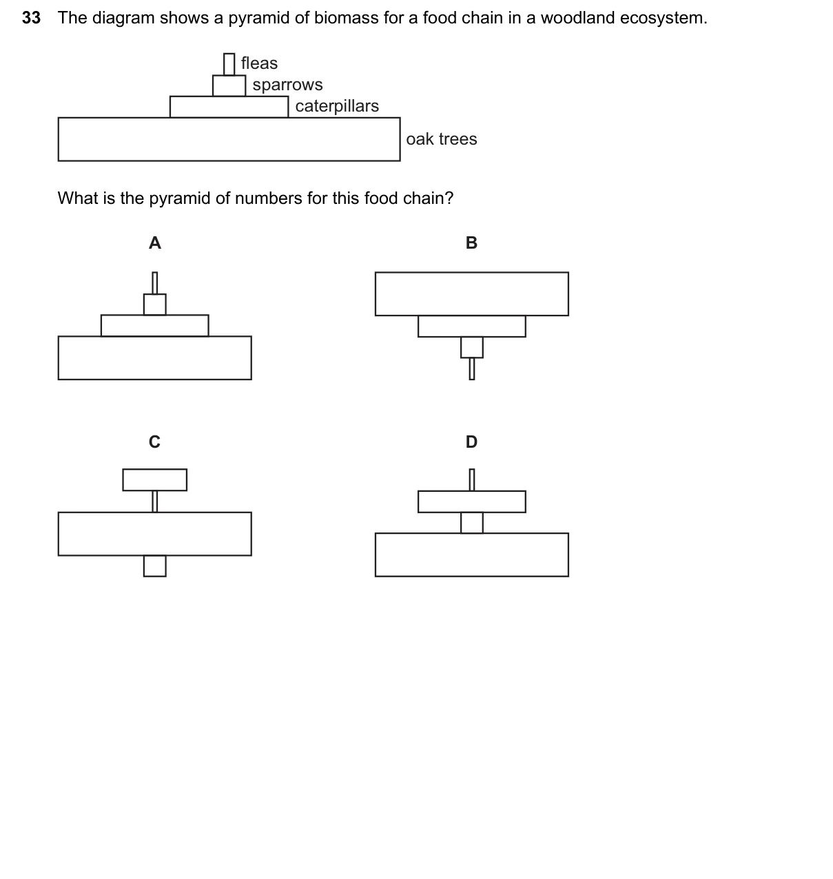 Question 33, June 2026, 0610 Paper 13