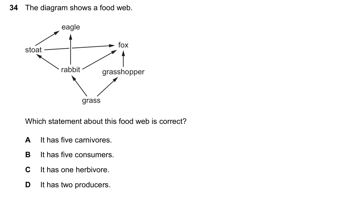 Question 34, June 2026, 0610 Paper 13