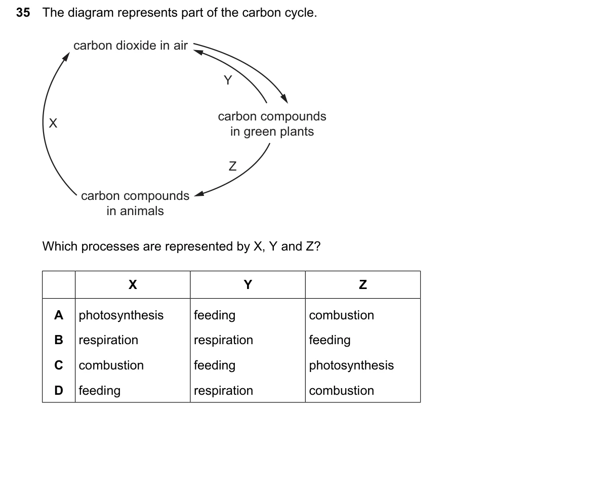 Question 35, June 2026, 0610 Paper 13