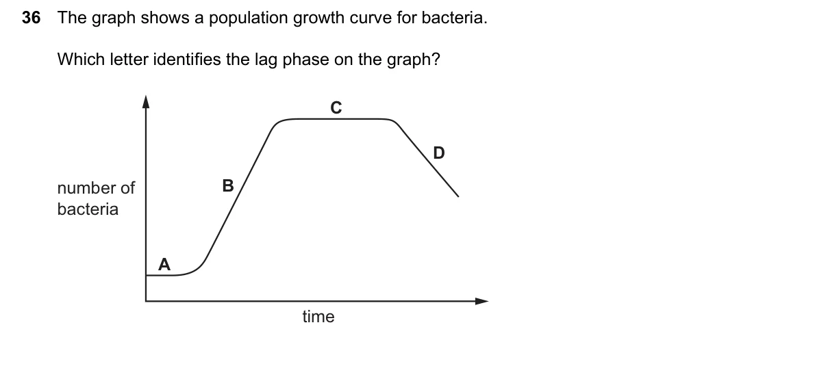 Question 36, June 2026, 0610 Paper 13
