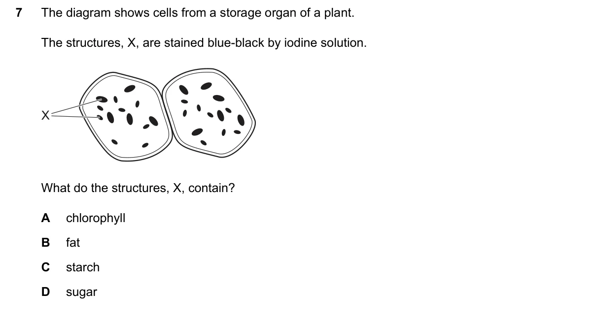 Question 7, June 2026, 0610 Paper 13