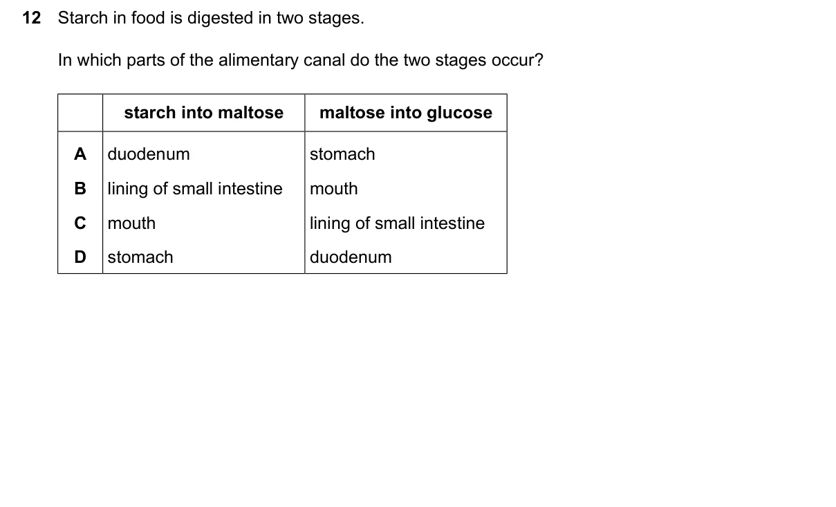 Question 12, June 2026, 0610 Paper 23