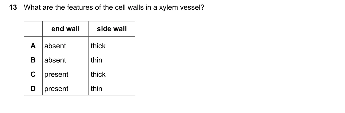 Question 13, June 2026, 0610 Paper 23