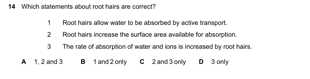 Question 14, June 2026, 0610 Paper 23