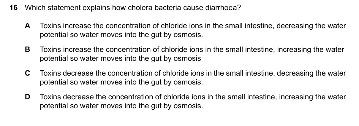 Question 16, June 2026, 0610 Paper 23