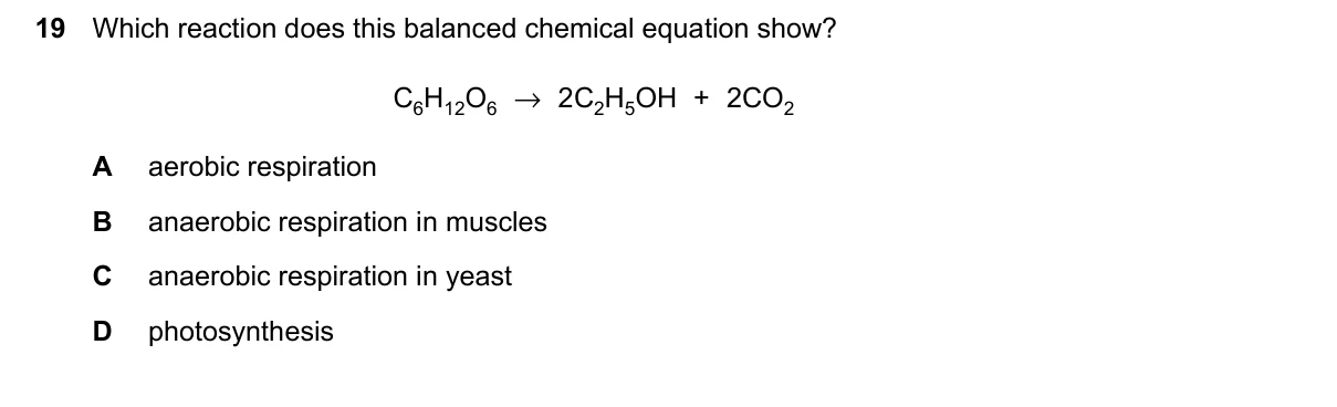 Question 19, June 2026, 0610 Paper 23