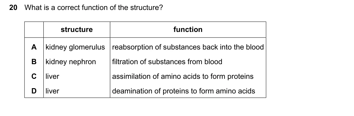 Question 20, June 2026, 0610 Paper 23