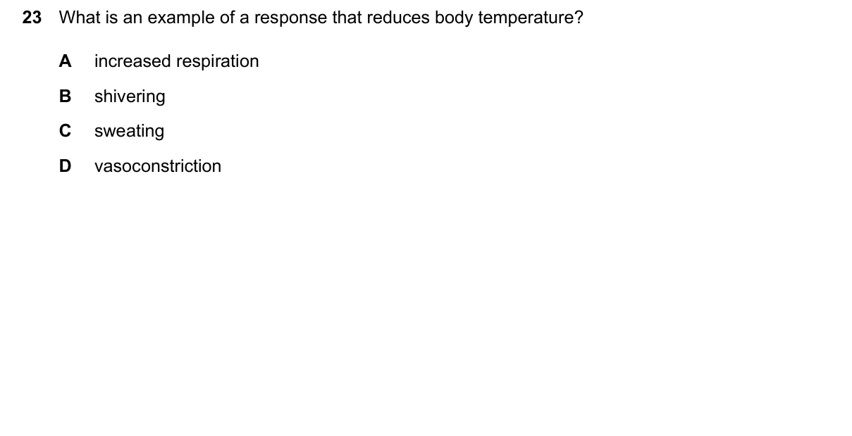 Question 23, June 2026, 0610 Paper 23