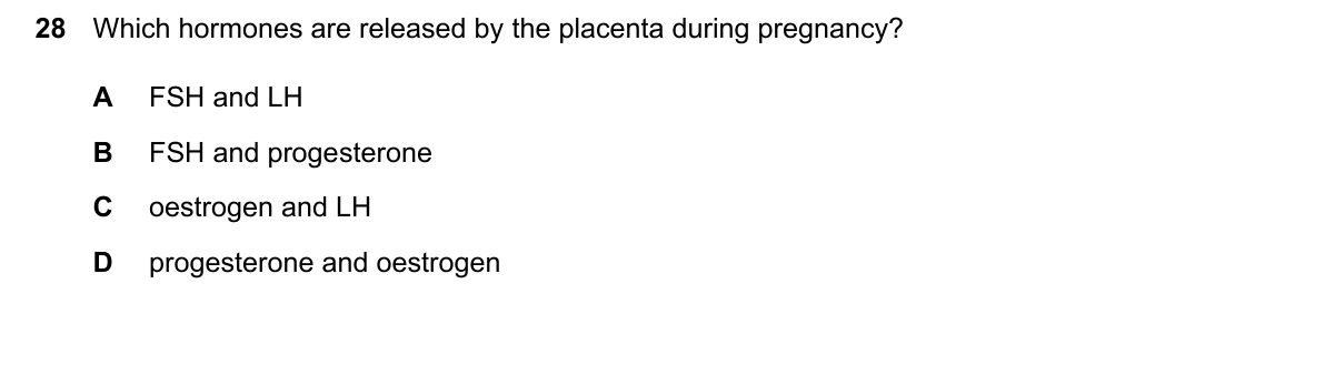 Question 28, June 2026, 0610 Paper 23