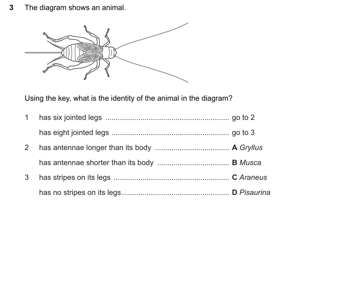 Question 3, June 2026, 0610 Paper 23