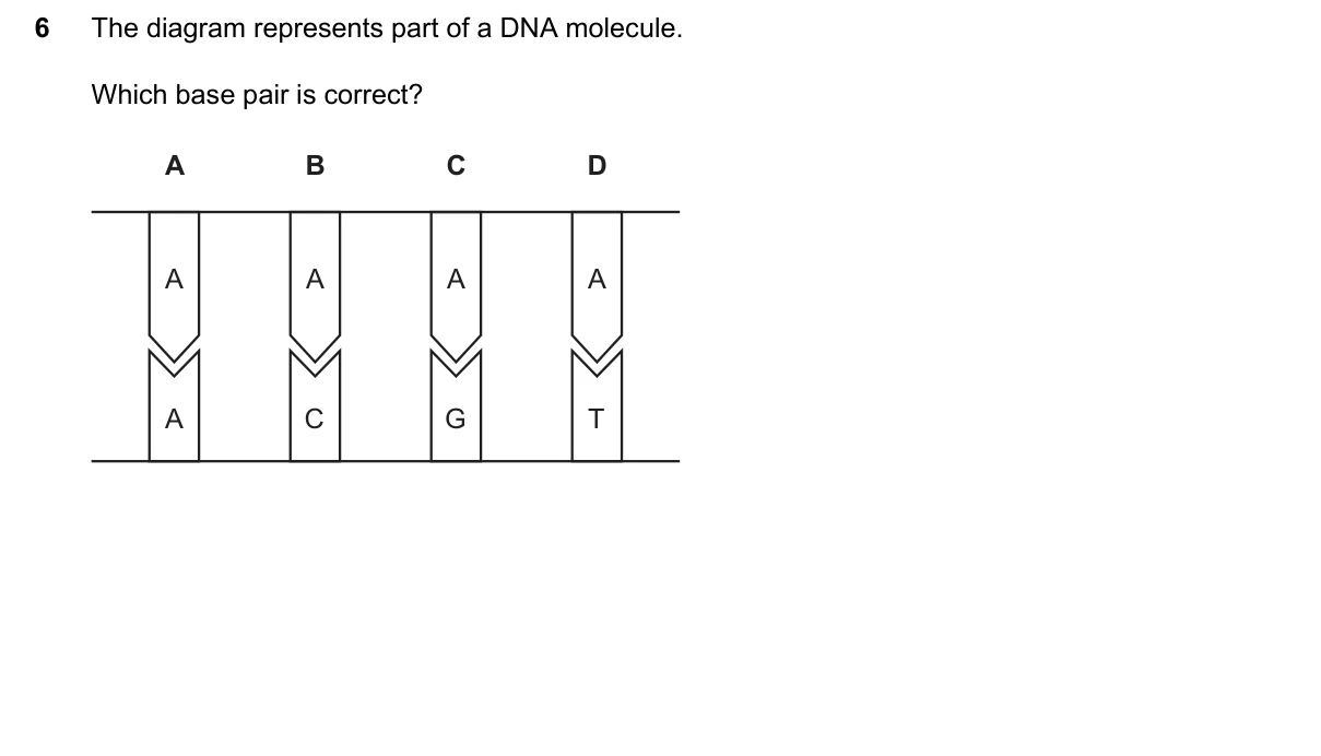 Question 6, June 2026, 0610 Paper 23
