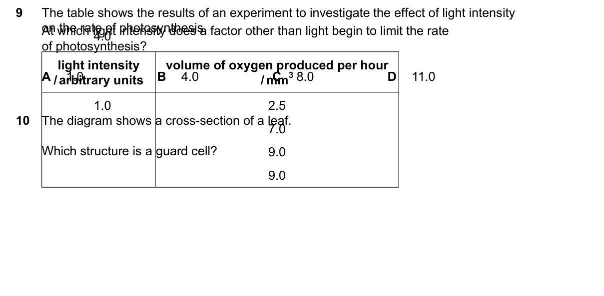 Question 9, June 2026, 0610 Paper 23