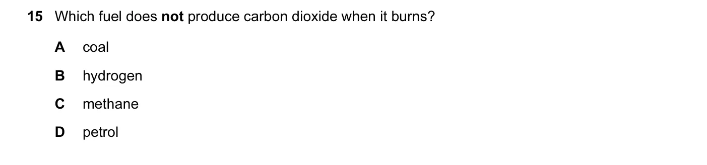 Question 15, November 2013, 0620 Paper 12