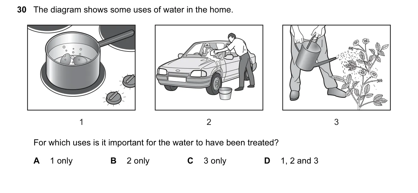 Question 30, June 2014, 0620 Paper 11