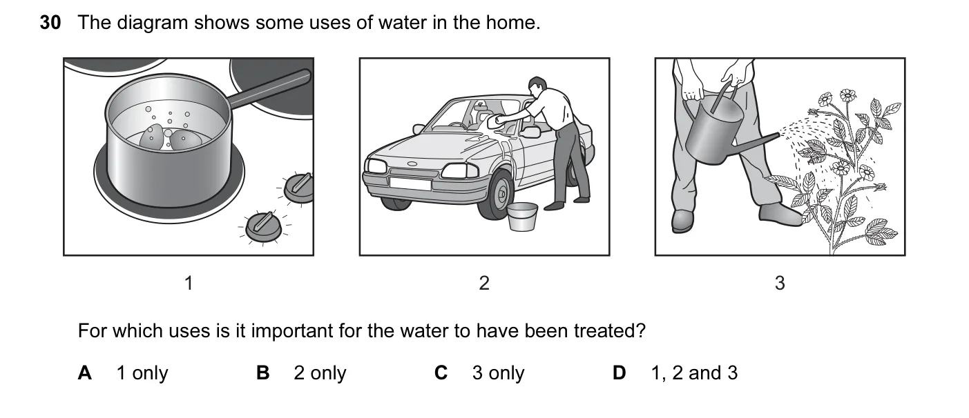 Question 30, June 2014, 0620 Paper 12