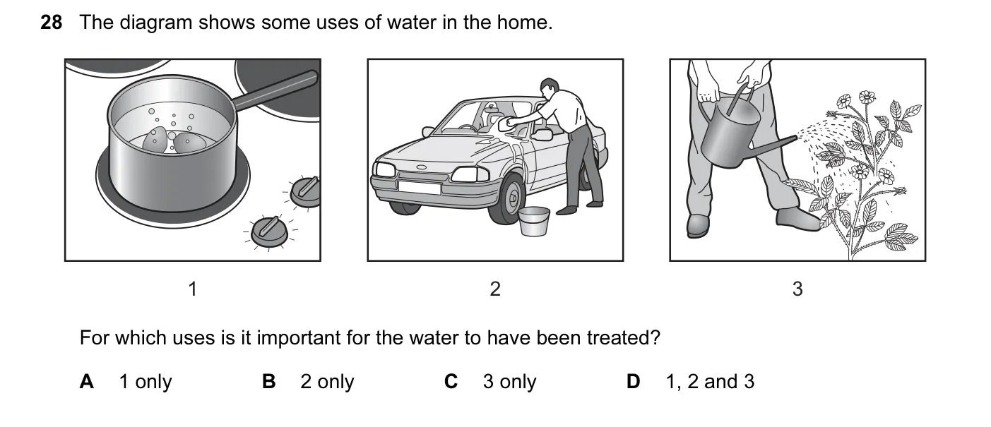 Question 28, June 2014, 0620 Paper 13