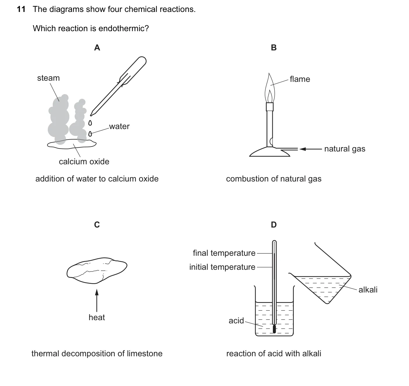 Question 11, June 2015, 0620 Paper 11