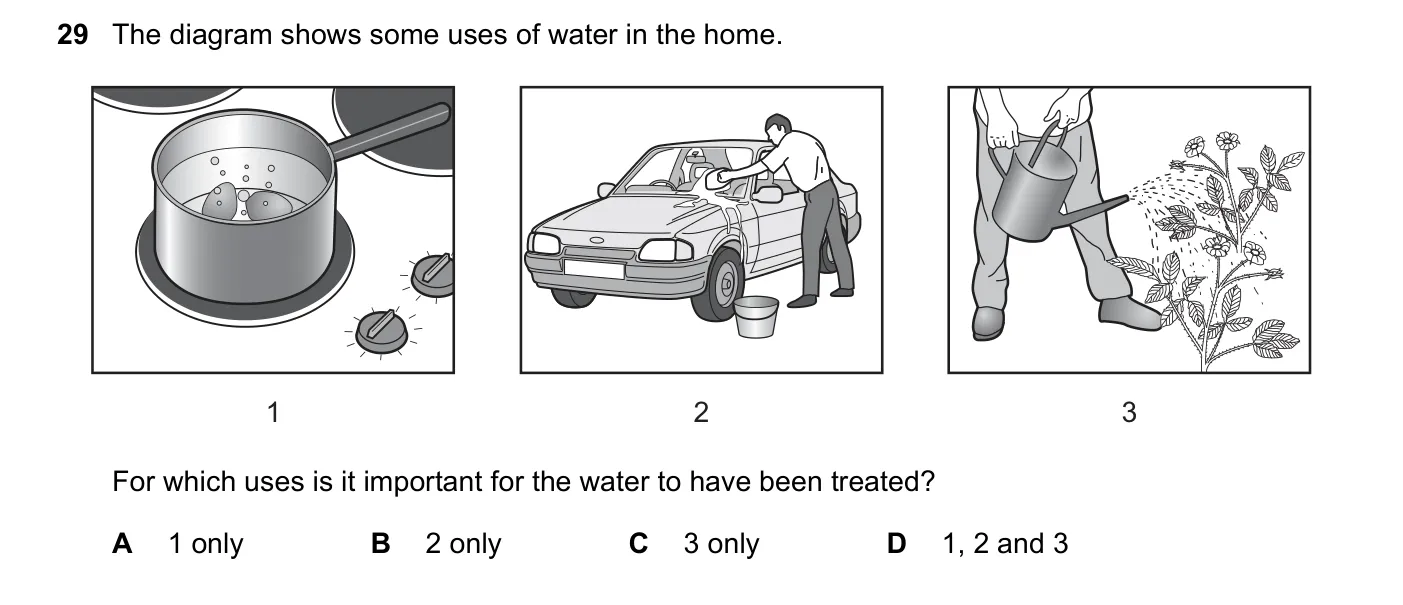 Question 29, June 2017, 0620 Paper 21