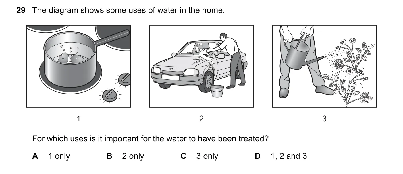 Question 29, June 2017, 0620 Paper 22