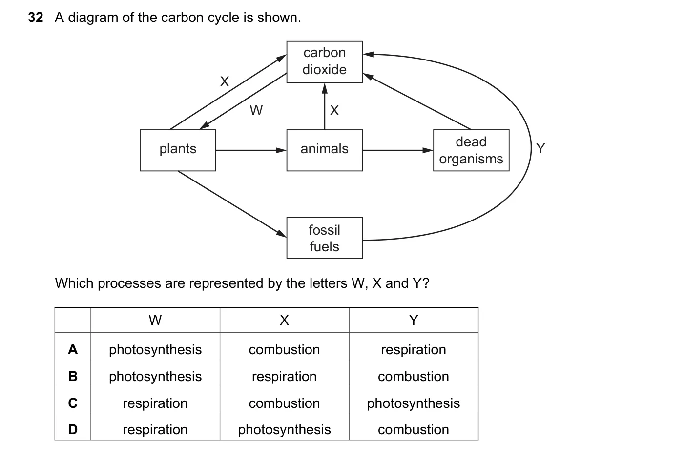 Question 32, November 2018, 0620 Paper 21