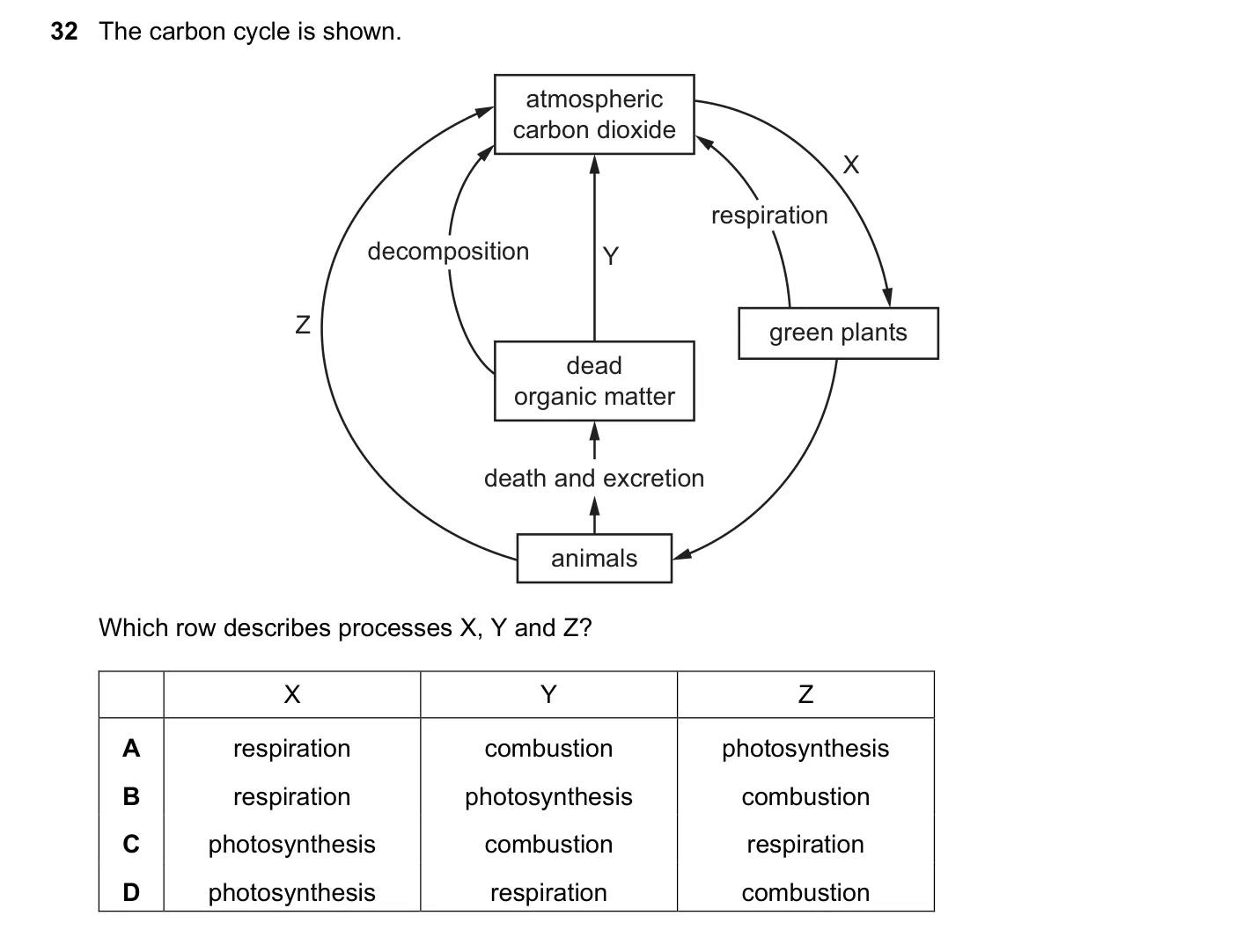 Question 32, June 2019, 0620 Paper 21