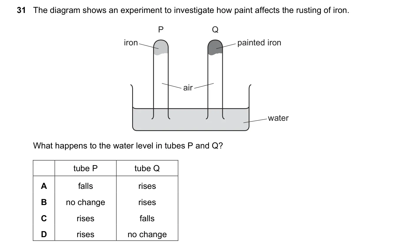 Question 31, June 2019, 0620 Paper 22
