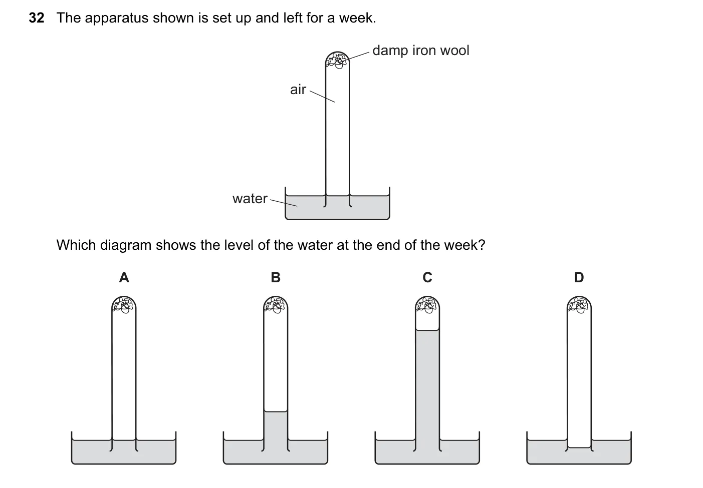 Question 32, November 2019, 0620 Paper 21
