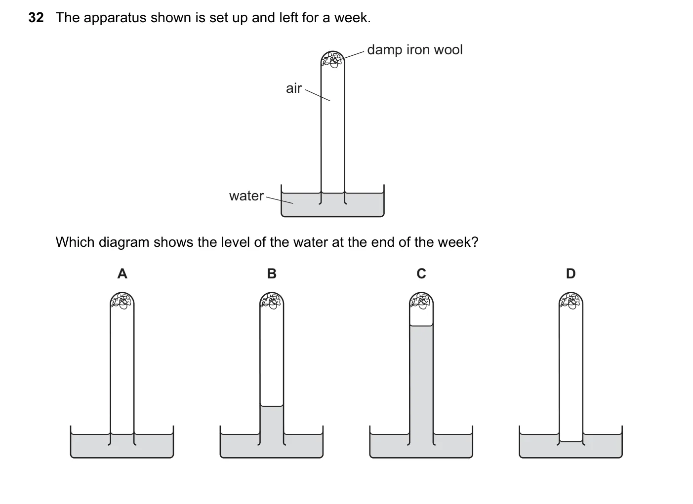 Question 32, November 2019, 0620 Paper 22