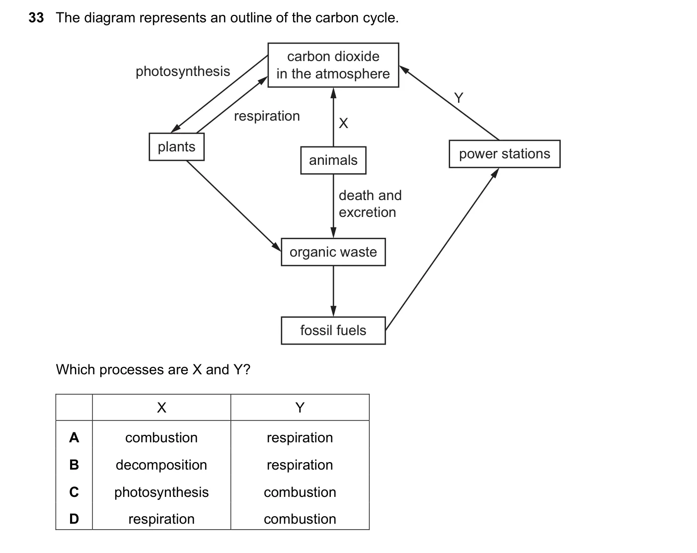 Question 33, November 2019, 0620 Paper 22
