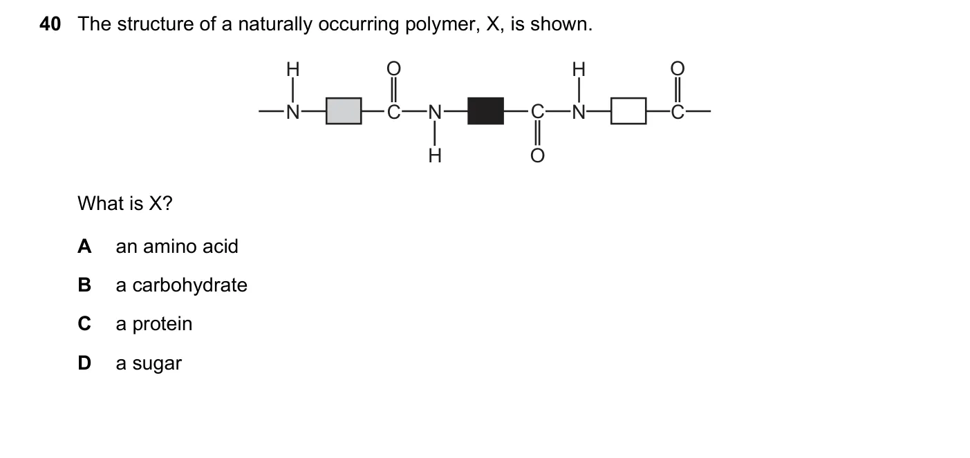 Question 40, November 2019, 0620 Paper 22