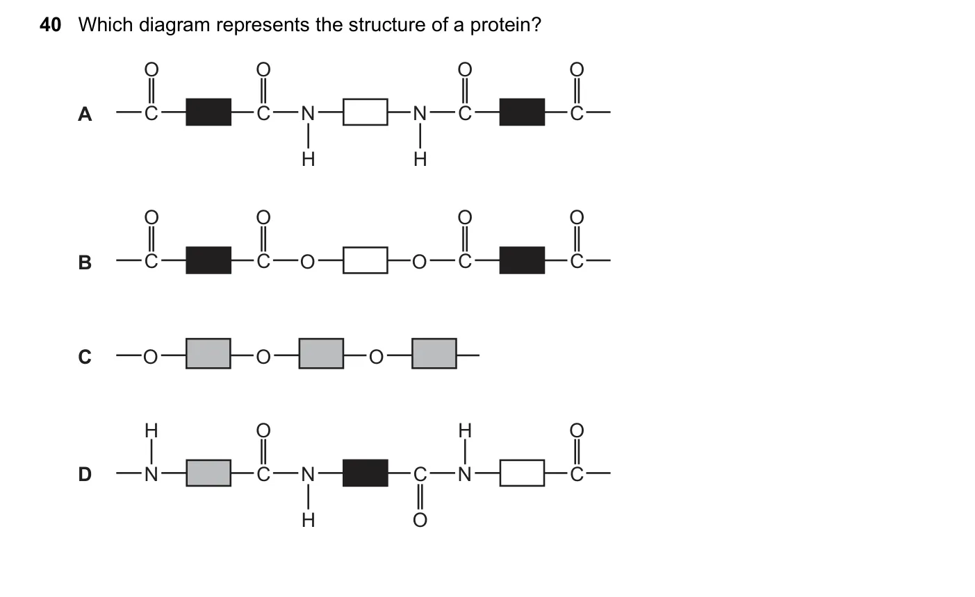 Question 40, November 2020, 0620 Paper 22