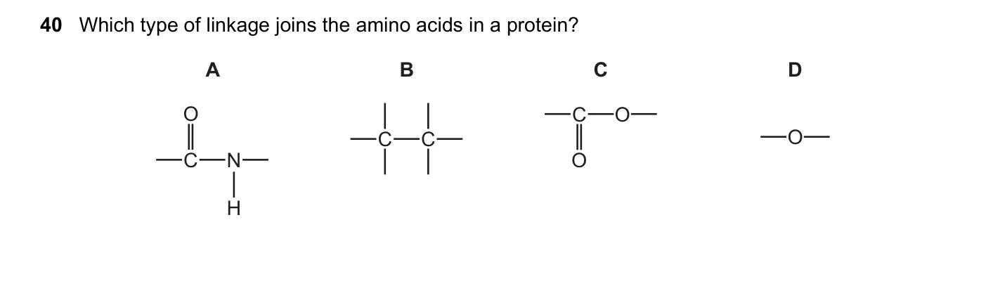 Question 40, November 2020, 0620 Paper 23